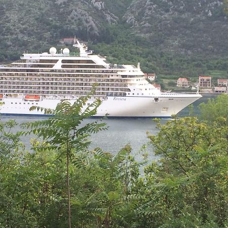Studio Jeff 1 Apartman Kotor Kültér fotó
