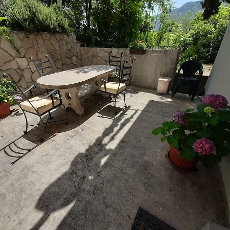 Studio Jeff 1 Apartman Kotor Kültér fotó