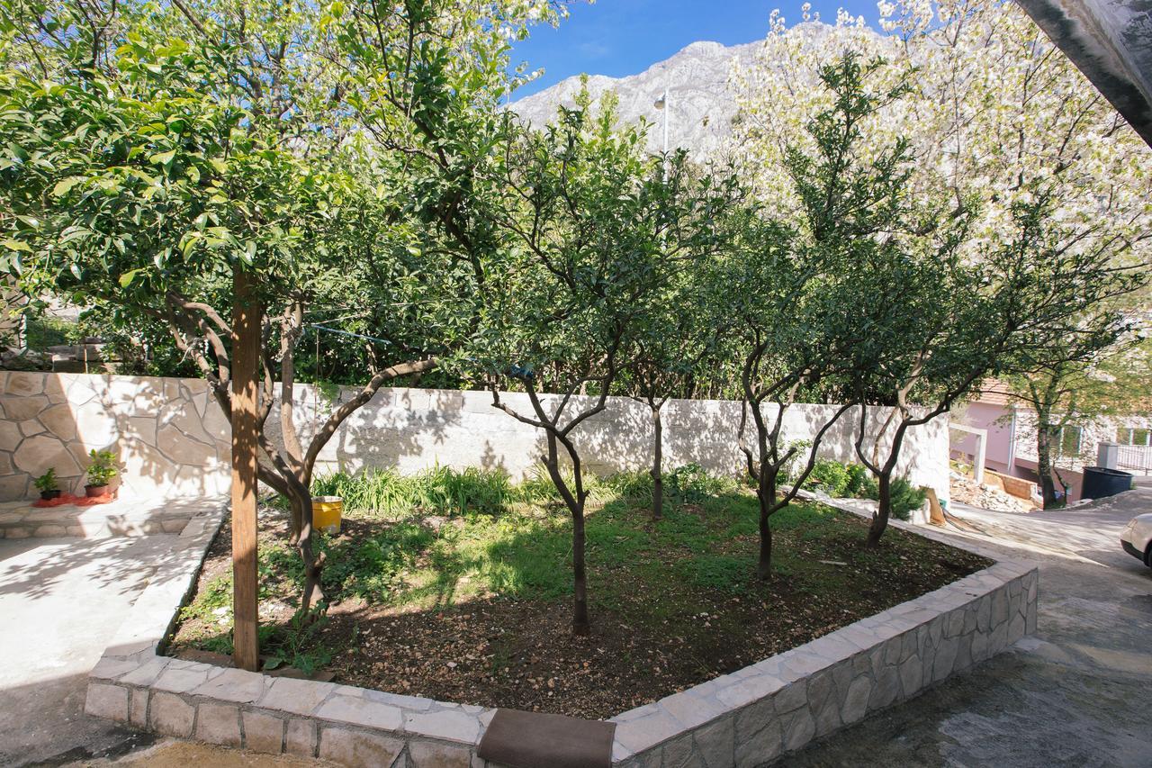 Studio Jeff 1 Apartman Kotor Kültér fotó