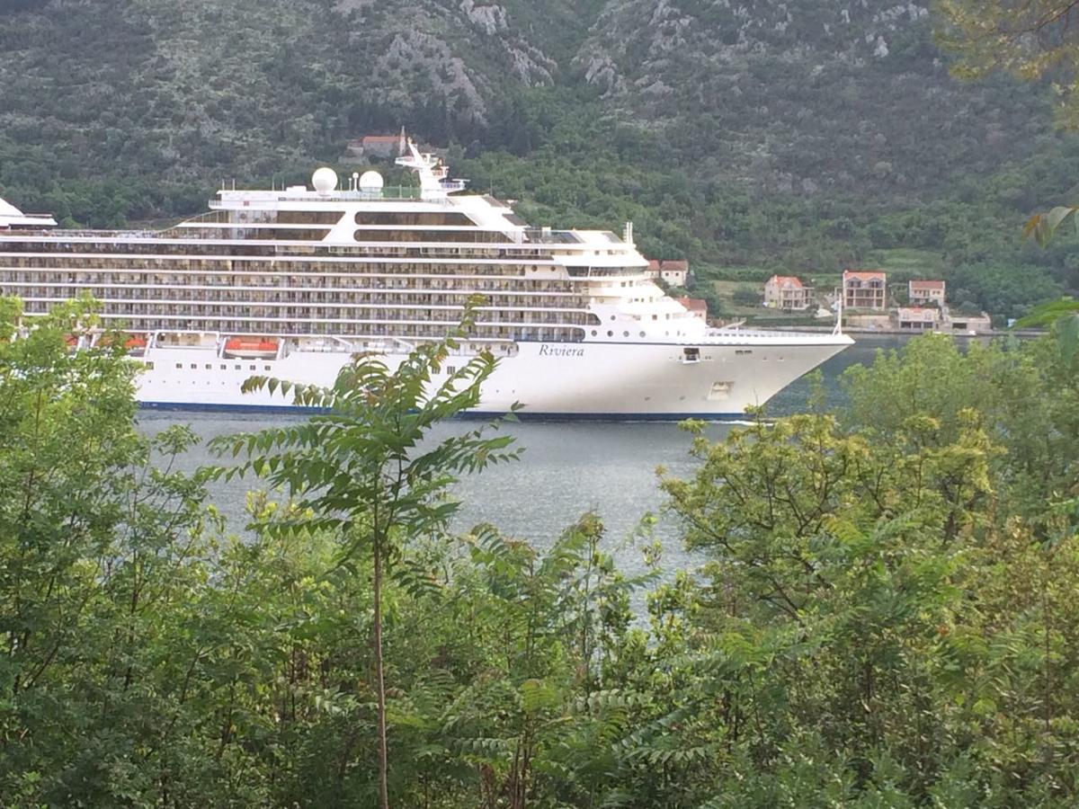 Studio Jeff 1 Apartman Kotor Kültér fotó